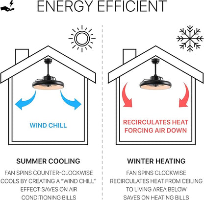 Oval AIR Loren 20" Small Smart Ceiling Fan with Light, Semi Flush Mount, Quiet 6-Speed Reversible Motor, Dimmable LED, Adjustable CCT, App & Remote Control, Modern, Black AIR8002B