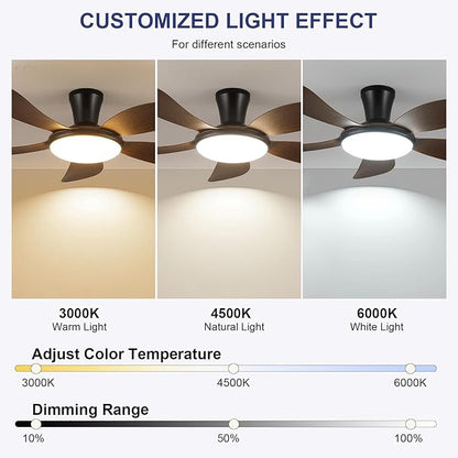 PHORUS Low Profile Ceiling Fans with Lights and Remote/APP,48 Inch Modern LED Ceiling Fans with Quiet Reversible DC Motor, Dimmable 3 Colors 6 Speeds