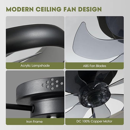LUDOMIDE Ceiling Fans with Lights 20'' Flush Mount Fan Remote & APP Control Black Low Profile 6 Wind Speeds Smart Dimmable LED for Bedroom Living Room (Y1095-BK-ELE)
