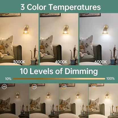Shenmoyl Vintage Battery Operated Wall Sconces Set of Two, Wireless Battery Powered Rose Wall Sconce with Remote Control, RGB Dimmable LED Wall Light for Bedside Bedroom Living Room (Amber)