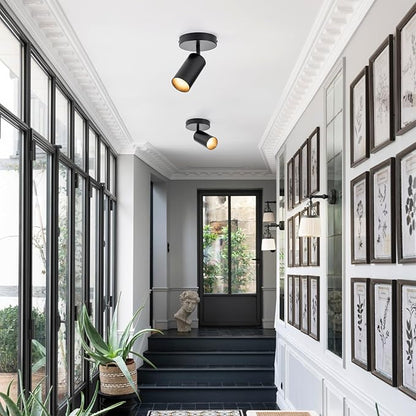 LED Spotlight Indoor 2 Pack Black Ceiling Spotlight Fixtures Adjustable 90° Anti-Glare Spot Lights, Ideal for Living Room, Paintings, Wall Art and Artwork, Warm White 3000K