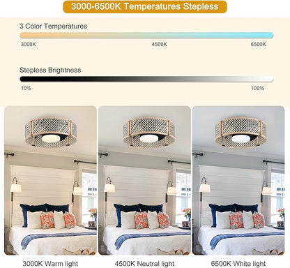 Ganeed 20" Boho Caged Fandelier with Lights, 18W Dimmable LED Rattan Ceiling Fan with Lights and Remote Control, Enclosed 6 Speeds/RGB Low Profile Bamboo Fan Light for Bedroom, Living Room, Kitchen