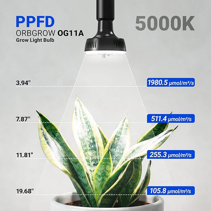 Barrina Orbgrow OG11A Grow Light Bulbs for Indoor Plants, Integrated Dimming & Timing, 5000K 33W(3 x 11W, 300 Watt Equiv), E26 Plant Light Bulb, Full Spectrum for Seeds and Greens, 3 Packs, Black