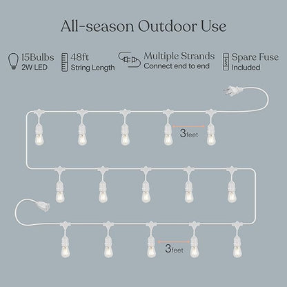 Brightech Ambience Pro Waterproof LED Outdoor String Lights, 48 Ft, Hanging, Dimmable Vintage Edison Bulbs, 15 Bulbs, 2W