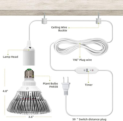 LED Grow Light Bulbs, Hanging Grow Lights for Indoor Plants, 25W 5000K, Height Adjustable Plant Light with Timer, Full Spectrum Grow Light Replace Sunlight for Large Tall Plant, Greenhouse