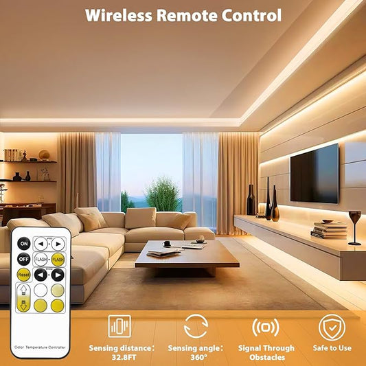 Lamomo LED Strip Lights, Tunable White Neon Rope Lights with Remote, 32.8Ft Dimmable 3000K-6000K Flexible Led Light Strip, Waterproof Silicone 24V Neon Lights for Bedroom Home Decor