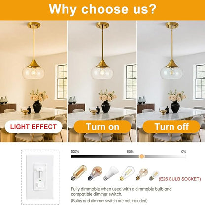 2 Pack Pendant Lights Kitchen Island, Modern Gold Pendant Light Fixtures with 8.5" Clear Glass Shade, Industrial Hanging Pendant Lights for Kitchen Island Dining Room Bedroom Hallway Entryway