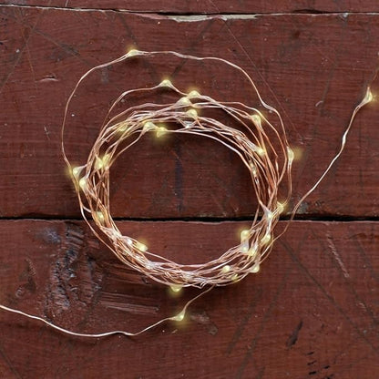 Kikkerland Copper String Lights Battery Operated