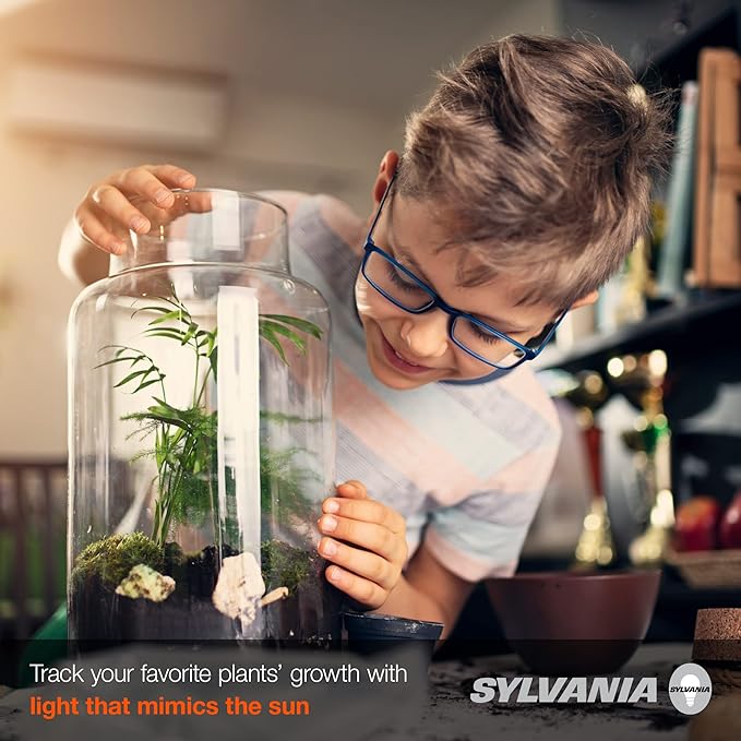 LEDVANCE Sylvania Incandescent Spot-GRO 60W Grow Light Bulb, A19, Dimmable, 705 Lumens, Frosted, 2850K, Soft White - 2 Pack (12280)
