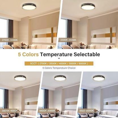 Pevfah Modern Flush Mount Ceiling Light, 5CCT 2700 K-6000 K Dimmable Black and Gold Ceiling Lighting Fixture, Minimalist Round LED Ceiling Lamp for Kitchen, Bedroom, Hallway, Living Room-16.5 Inch