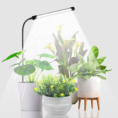 Grow Light for Indoor Plants Growing, 6000K Full Spectrum Gooseneck Plant Lamp for Seedings Succulents Small Plants, Auto On/Off Timing & 5 Dimming, 1-Pack