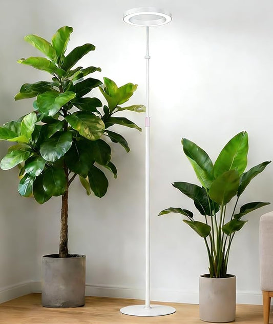 Grow Lights for Indoor Plants, Full Spectrum LED Plant Light with Stand, 67" Adjustable Height, 3/9/12H Timer, 10 Dimmable Levels & 3 Lighting Modes