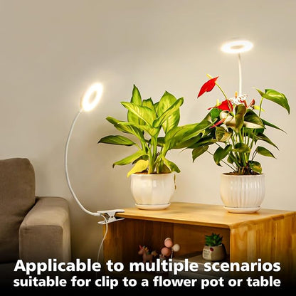 LORDEM Grow Light,Full Spectrum Pot Clip LED Plant Growth Light with Auto On/Off Timer 4/8/12H,Plant Lamp with 360°Rotatable Gooseneck, 4 Dimmable Brightness, Ideal for Small Indoor Plants, 2 Pack