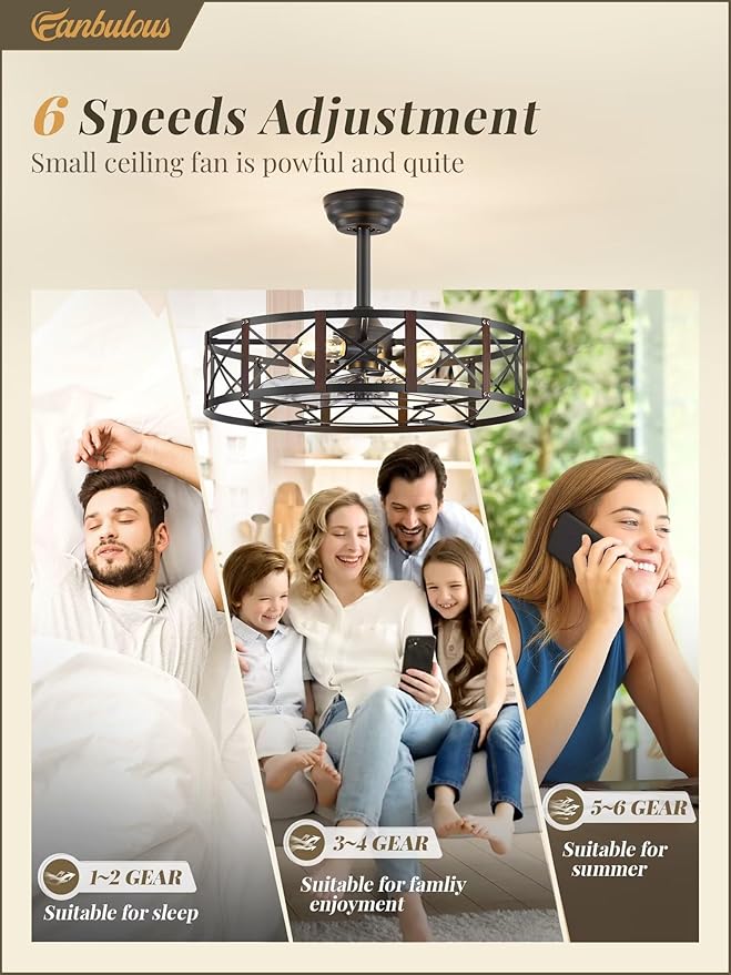 Fanbulous 23 Inch Fandelier Caged Ceiling Fans with Lights and Remote, Black Bladeless Ceiling Fan with 6 Speeds and Timing, Farmhouse Samll Fan Lights Ceiling Fixtures For Kitchen, Bedroom-Walnut