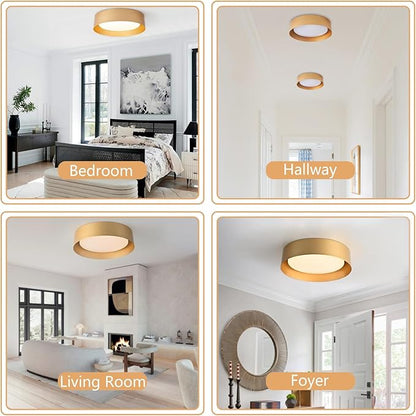 Bargeni Flush Mount Ceiling Light, 12.5 inch LED Ceiling Light Fixture, Polished Gold Finish, Dimmable/3000K/18W, Outdoor Flush Mount Lighting Fixture