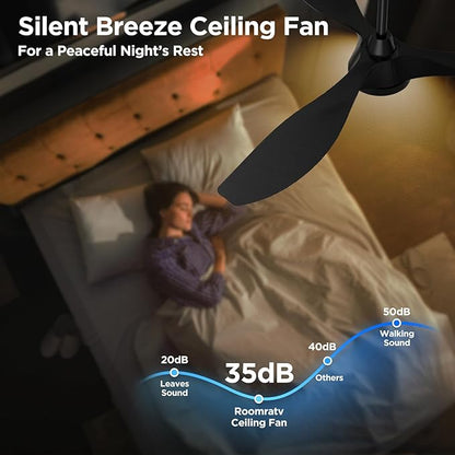 Roomratv Ceiling Fans with Lights and Remote Control,Quiet Noiseless Reversible DC Motor,6 Speeds,Timers, 3 CCT, Indoor Use, Plastic Blades,52 Inch Black Modern Ceiling Fan for Bedroom Living Room