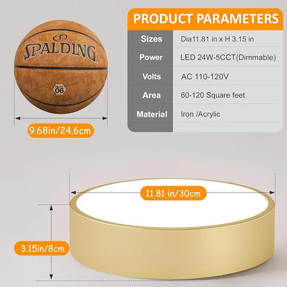 Dimmable LED Ceiling Light, 5CCT Modern Round Close to Ceiling Lighting Fixtures, Minimalist Gold Ceiling Lamp for Bedroom, Hallway, Laundry Room,11.8 inch