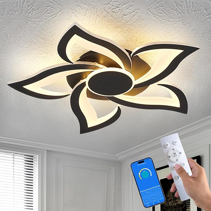 24" Modern Geometric Ceiling Light Fixture, Black Dimmable 3 Colors LED Close to Ceiling Light Fixtures with Remote, Low Profile Flush Mount Ceiling Light for Kitchen, Living Room