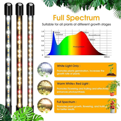 Wolezek Grow Lights for Indoor Plants Full Spectrum, 100 LEDs Plant Lights for Indoor Growing with Adjustable Stand, 5-Head Plant Grow Lamp with Auto 6/12/16H Timer, Ideal for Large & Tall Plants