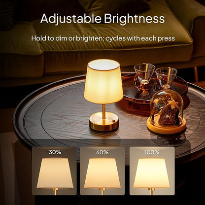 EppieBasic Cordless Table Lamp Small: Fast Charging & Long Lasting - 2700K Warm Light Dimmable - Vintage Mini Rechargeable Lamps for Dinning Living Room Bedroom