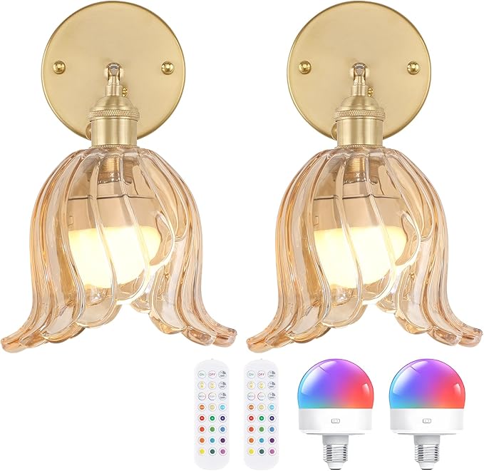 Shenmoyl Vintage Battery Operated Wall Sconces Set of Two, Rechargeable Battery Powered Wall Sconces with Remote Control, Wireless Dimmable LED Light for Bedside Indoor Living Room (Amber Lily)