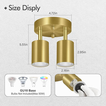 2 Light Track Lighting Fixtures Ceiling, Gold Round Directional Ceiling Spotlight, GU10 Flush Mount Ceiling/Wall Fixture, Adjustable Modern LED Track Lights for Kitchen/Living Room, Bulb Not Included