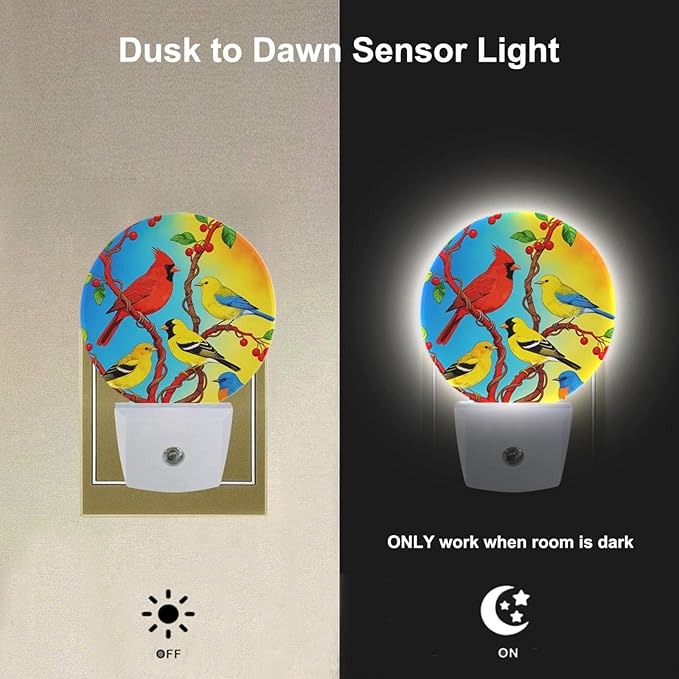 Lovely Bird Lamp Parrot Night Light Parrot with Colourful Feather Night Lights Plug into Wall for Boys Girls, Plug-in Nightlight 0.5W LED Lighting for Stairway Hallway Bedroom