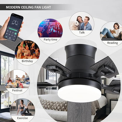 KNUN Ceiling Fans with Lights,52 Inch Low Profile Ceiling Fan with Light and Remote Control,Flush Mount,6 Speeds DC Reversible Motor, 3CCT Dimmable, Noiseless Black Ceiling Fan for Living Room,Patio