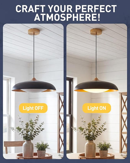 kudos 21 Inch Large LED Large Pendant Light, Black and Gold Dome Metal Pendant Light with Acrylic Shade, Farmhouse Pendant Light with Adjustable Cord,5CCT, Kitchen Bar Study Room, KDPL02-BK-L