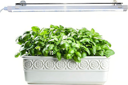 2FT Suction Cup Style Plant Grow Light,12W, LED Grow Lamp Fixture on Wall, Seed Starter kit, 6500K Cool White, Enhanced Blue Light, Height Adjustable, Herbs Growing lamp, IP54