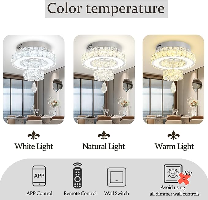Flashing God 12" Modern Crystal Chandeliers Flush Mount Ceiling Light Silver Chandelier for Hallway LED Dimmable Mini Chandelier for Dining Room Living Room Bedroom