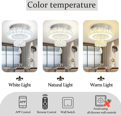 Flashing God 12" Modern Crystal Chandeliers Flush Mount Ceiling Light Silver Chandelier for Hallway LED Dimmable Mini Chandelier for Dining Room Living Room Bedroom