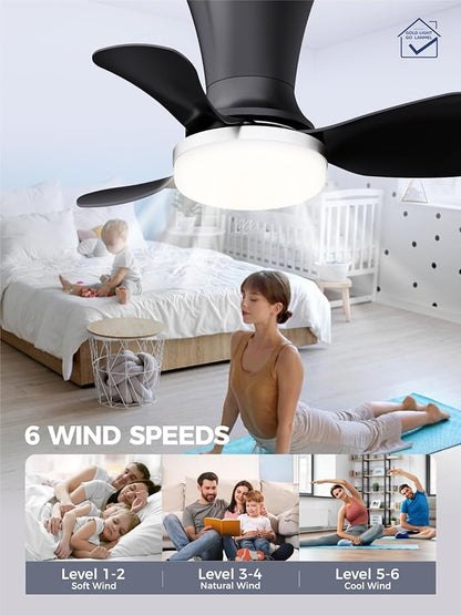 LANMEL Ceiling Fan with Light, Modern Flush Mount Low Profile with Remote Control, Reversible, 3CCT Dimmable, Quiet,LED for Bedroom, Living Room, Indoor/Outdoor Patio Use 22 Inch Silver & Black