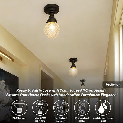 Schoolhouse Semi Flush Mount Ceiling Light,Black Close to Ceiling Light Fixtures with Hand-Blown Glass Shade Modern Hallway Ceiling Lamp for Laundry Entryway Kitchen Bathroom E26