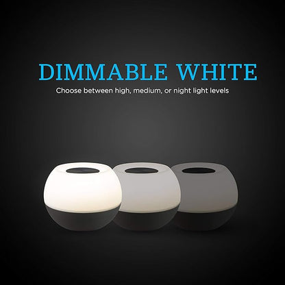 Enbrighten Color-Changing LED Lamp, Modern Night Light, Dimmable White & Vibrant RGB, Touch Sensor On/Off, Compact, Ideal for Bedside, Office, Dorm, Kid's Room, Gray, 48080