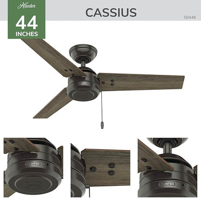 Hunter 44 inch Indoor/Outdoor Ceiling Fan, Cassius Noble Bronze Ceiling Fan, 3 Speed WhisperWind Motor, 50446, for Patios, Bedrooms, or Living Rooms