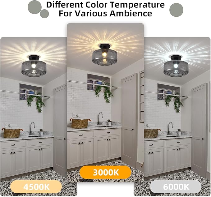 Glass Semi Flush Mount Ceiling Light, Modern Close to Ceiling Light Fixtures with Smoke Grey Glass Shade, Light Fixtures Ceiling Mount for Bathroom Dining Room Bedroom Living Room Hallway, E26 Base