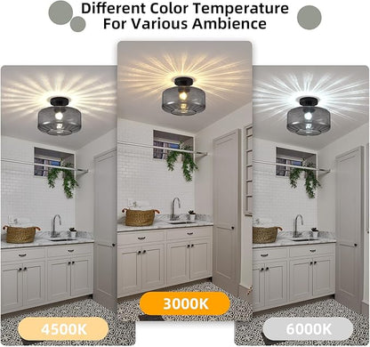 Glass Semi Flush Mount Ceiling Light, Modern Close to Ceiling Light Fixtures with Smoke Grey Glass Shade, Light Fixtures Ceiling Mount for Bathroom Dining Room Bedroom Living Room Hallway, E26 Base