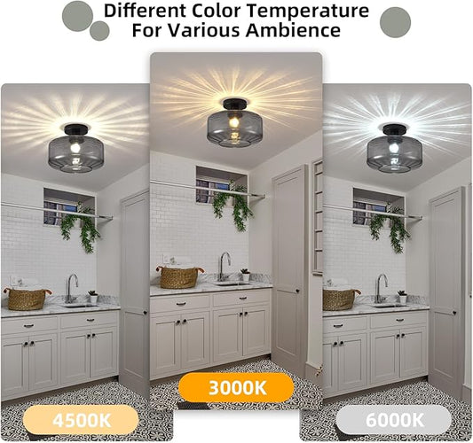 Glass Semi Flush Mount Ceiling Light, Modern Close to Ceiling Light Fixtures with Smoke Grey Glass Shade, Light Fixtures Ceiling Mount for Bathroom Dining Room Bedroom Living Room Hallway, E26 Base