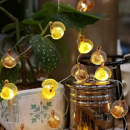 Decorative Fairy Mini Turkey String Lights Autumn Garland Cute Novelty Fall Lights 20 LEDs 8ft Battery Operated for Thanksgiving Centerpiece Decoration Bedroom Wedding Birthday Harvest Decor