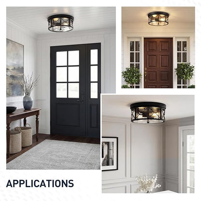 zeyu 2-Light Flush Mount Ceiling Light Fixtures, 12 Inch Lighting Fixture for Kitchen with Clear Glass, Black Ceiling Light, ZY25-F BK