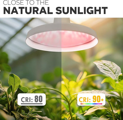 Hanging Grow Lights, 30W Full Spectrum, with Timer and 16.4FT Power Cord, Plant Lights for Indoor Growing, Garden, Flowers, Greenhouse (30W Grow Light(Timer))