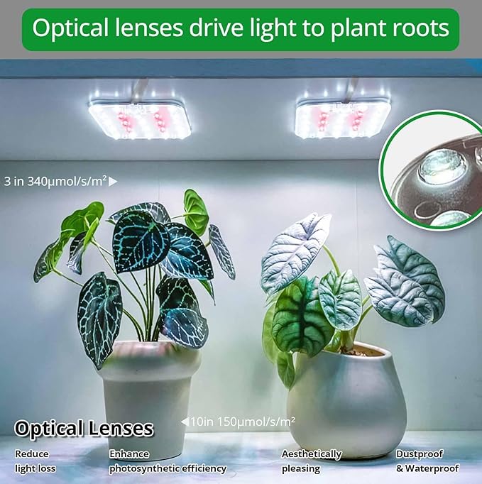 Full Spectrum LED Grow Light for Indoor Plants, 2 Panels 10W with 6/12/16h Timer Dimmable Plant Lights for Flower Veg Plant Growth USB, Daylight White, 2-Pack