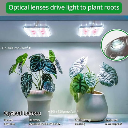 Full Spectrum LED Grow Light for Indoor Plants, 2 Panels 10W with 6/12/16h Timer Dimmable Plant Lights for Flower Veg Plant Growth USB, Daylight White, 2-Pack
