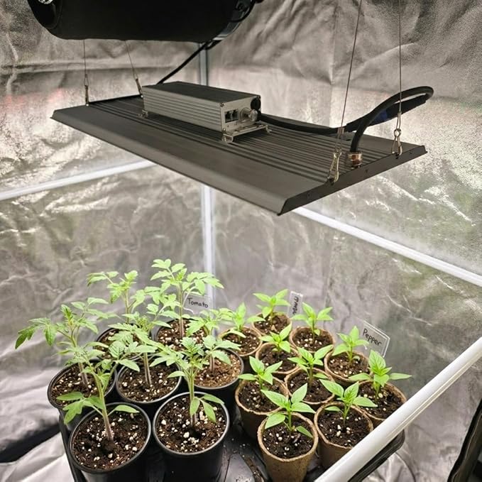 MA2000 LED Grow Lights for Seed Starting Vegetables Bloom, 200W Dimmable Daisy Chain, Grow Lights for Indoor Plants Full Spectrum for 2x4/4x4ft Coverage, Grow Tent, High Yield Cultivation