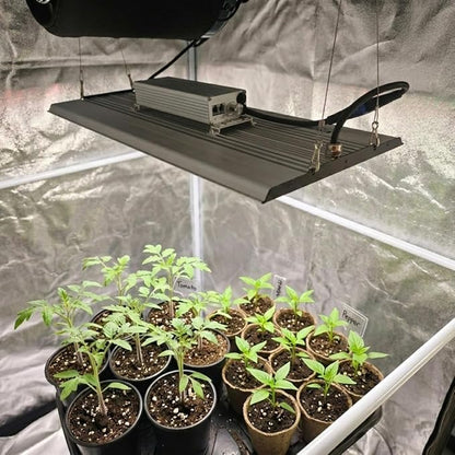 MA2000 LED Grow Lights for Seed Starting Vegetables Bloom, 200W Dimmable Daisy Chain, Grow Lights for Indoor Plants Full Spectrum for 2x4/4x4ft Coverage, Grow Tent, High Yield Cultivation