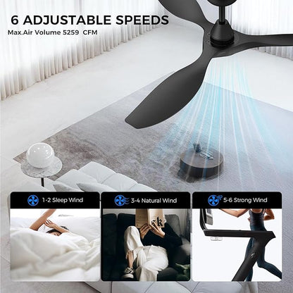 Roomratv Ceiling Fans with Lights and Remote Control,Quiet Noiseless Reversible DC Motor,6 Speeds,Timers, 3 CCT, Indoor Use, Plastic Blades,52 Inch Black Ceiling Fan Smart APP Control for Living Room