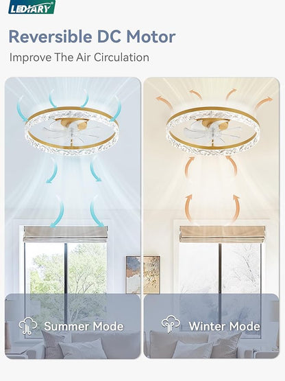 LEDIARY 20" Modern Ceiling Fans with Lights and Remote, Dimmable Low Profile Ceiling Fan, Flush Mount Fan, Stepless Color Temperature Change and 6 Speeds - Gold