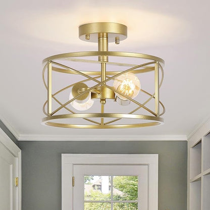 2-Light Semi Flush Mount Matte Gold Ceiling Light Fixture, Farmhouse Industrial Metal Cage with Adjustable Height, Dimmable for Hallway Entryway Kitchen Bedroom Foyer Laundry Low Ceiling