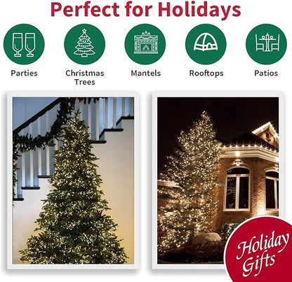 LAMPHOME 100 Count White Frost Christmas Lights,Mini Clear Lights 21ft White Wire Christmas Tree String Lights Set for Outdoor Indoor Christmas Decorations Wedding Decorations Valentines Day Decor